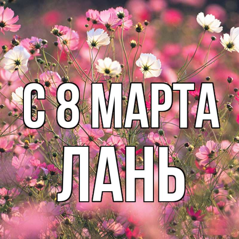 Картинка C 8 МАРТА, лань