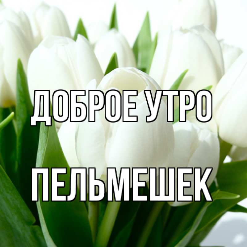 Картинка Доброе утро, пельмешек