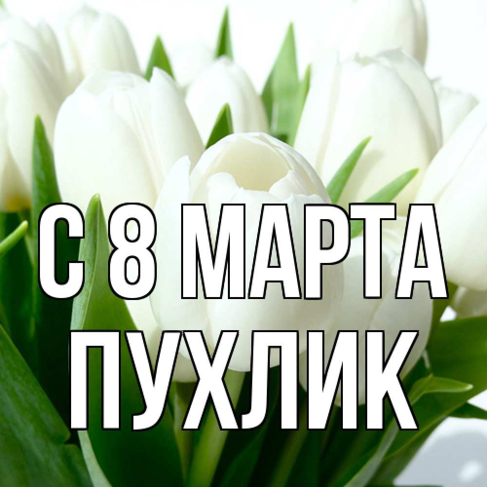Открытка на каждый день с именем, пухлик C 8 МАРТА цветы Прикольная открытка с пожеланием онлайн скачать бесплатно 
