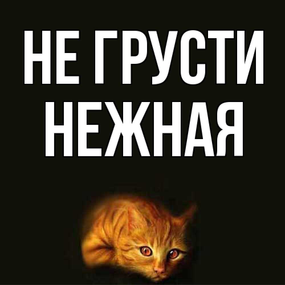 Открытка на каждый день с именем, Hежная Не грусти лежащий кот в темноте Прикольная открытка с пожеланием онлайн скачать бесплатно 