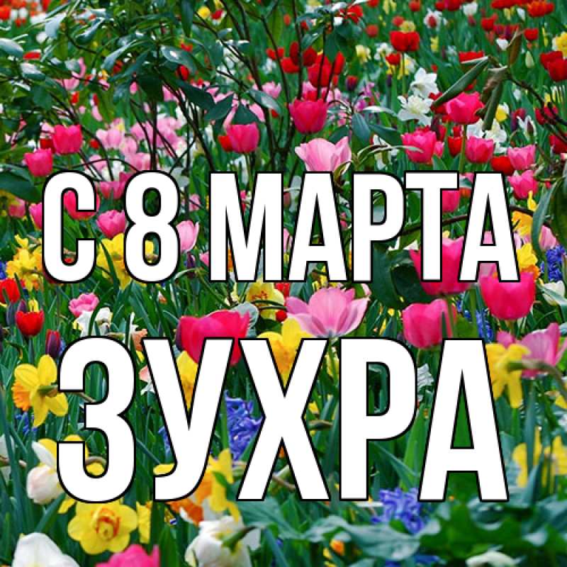 Картинка C 8 МАРТА, Зухра