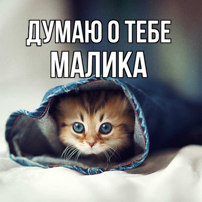 Картинка Думаю о тебе, Малика
