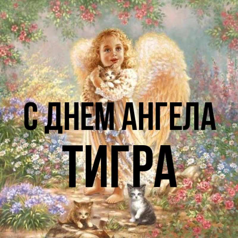 Картинка С днем ангела, Тигра