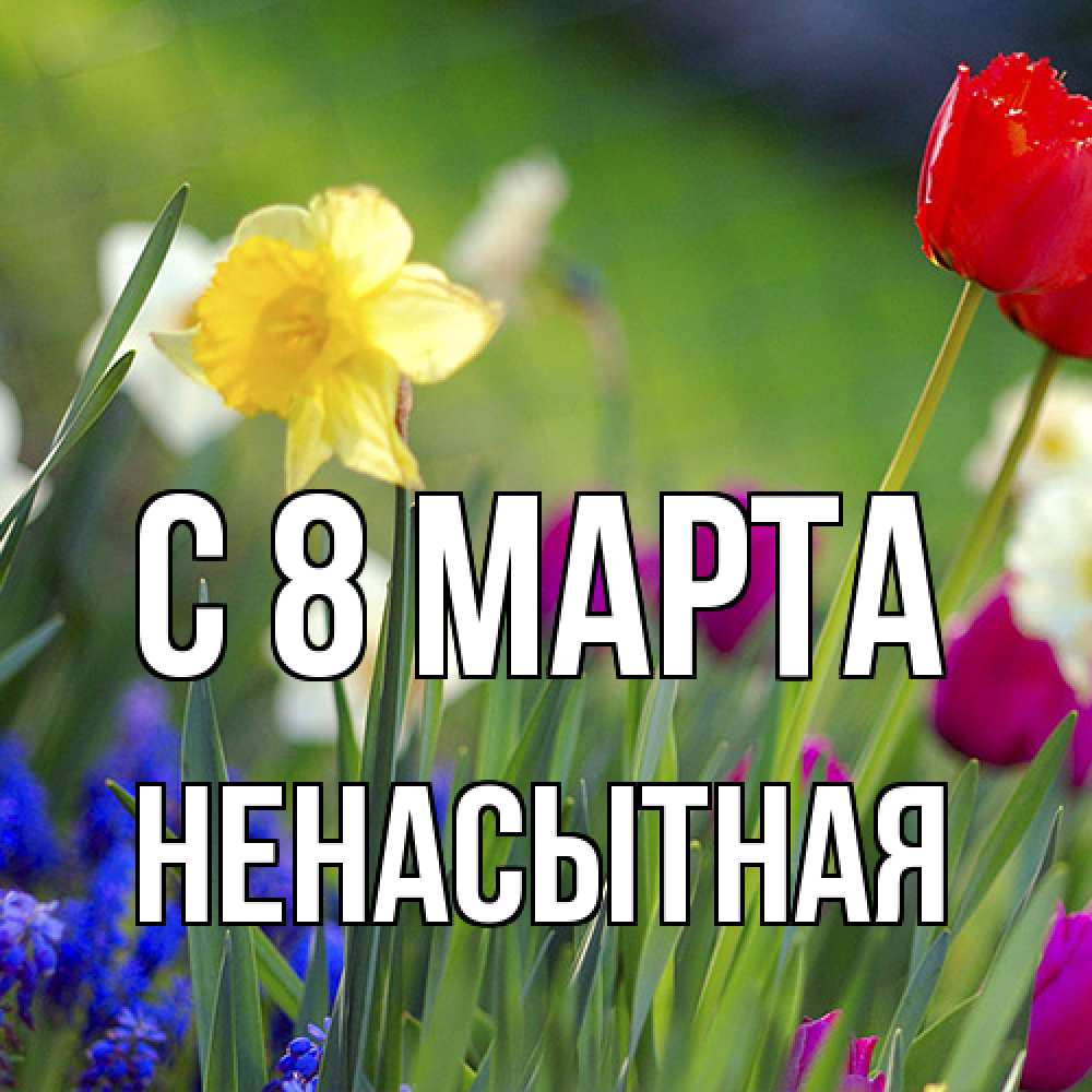 Открытка на каждый день с именем, Ненасытная C 8 МАРТА международный женский день 3 Прикольная открытка с пожеланием онлайн скачать бесплатно 