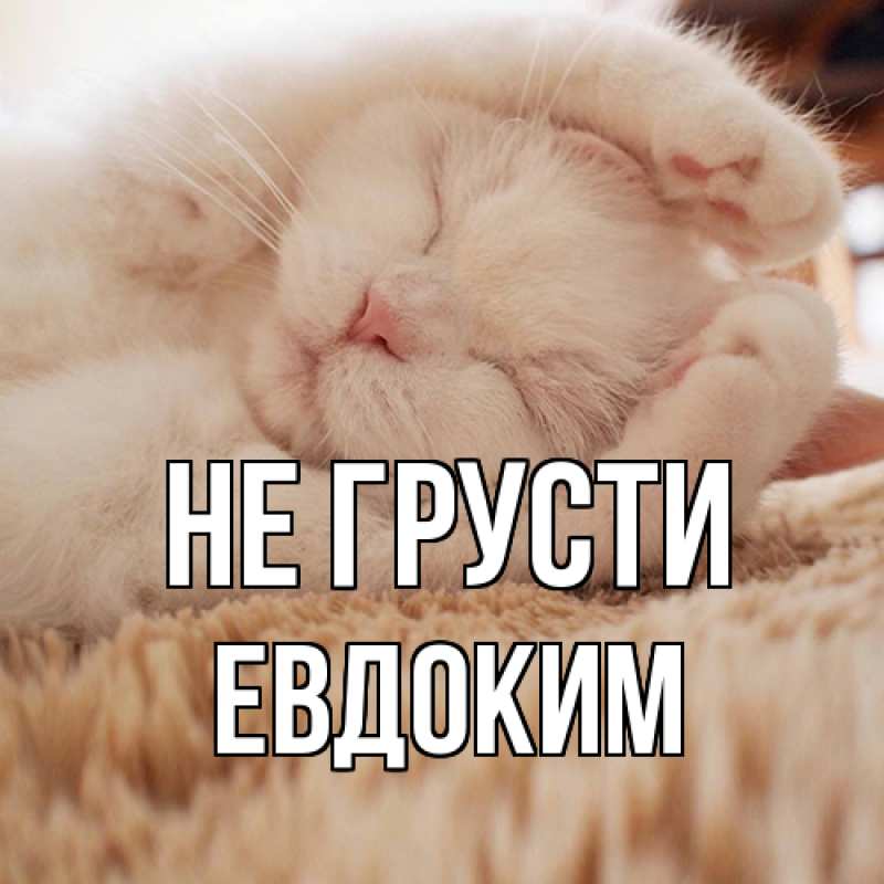 Картинка Не грусти, Евдоким