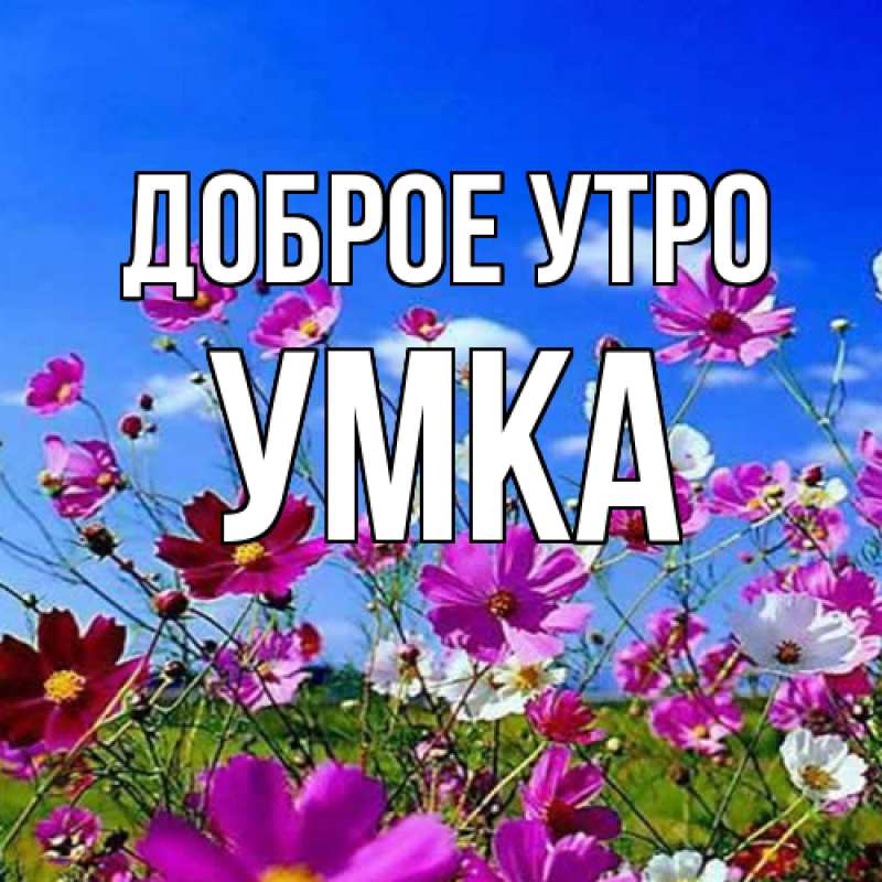 Картинка Доброе утро, умка