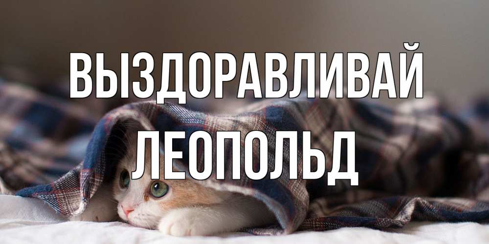 Открытка на каждый день с именем, Леопольд Выздоравливай не болейте с котиком Прикольная открытка с пожеланием онлайн скачать бесплатно 