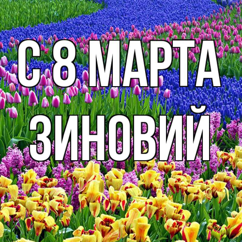 Картинка C 8 МАРТА, Зиновий