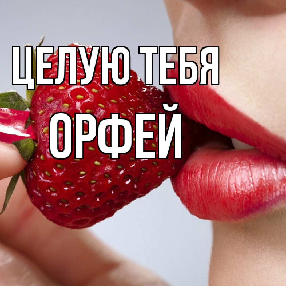 Открытка на каждый день с именем, Орфей Целую тебя губки держат клубничку Прикольная открытка с пожеланием онлайн скачать бесплатно 