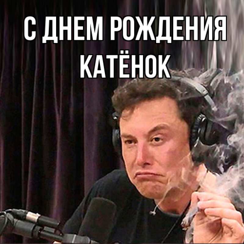 Картинка С днем рождения, Катёнок