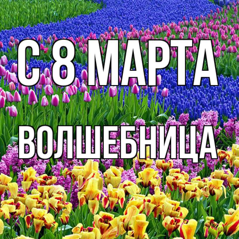 Картинка C 8 МАРТА, волшебница
