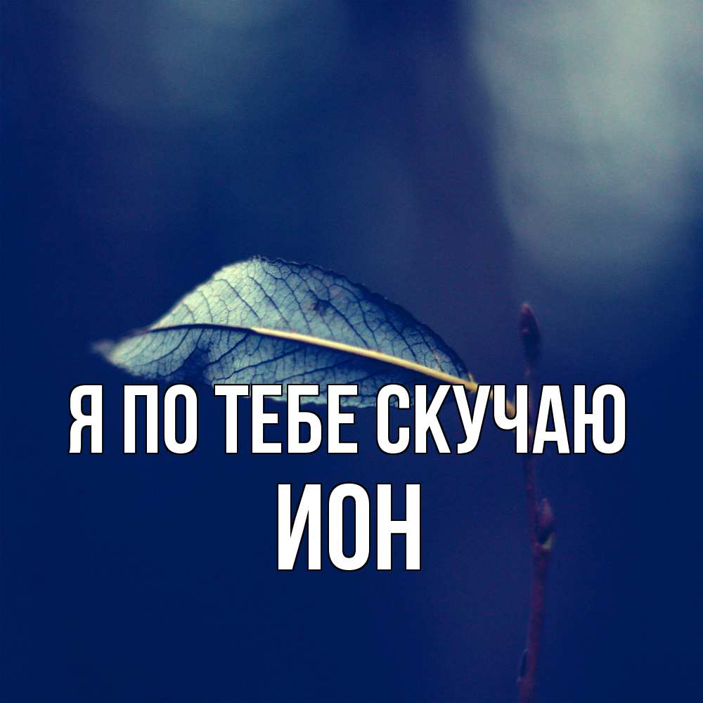 Открытка на каждый день с именем, Ион Я по тебе скучаю одна ветка 1 Прикольная открытка с пожеланием онлайн скачать бесплатно 
