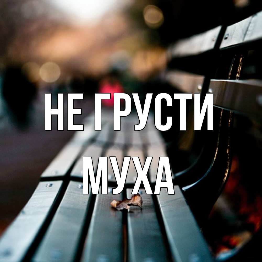Открытка на каждый день с именем, Муха Не грусти размытый фон Прикольная открытка с пожеланием онлайн скачать бесплатно 