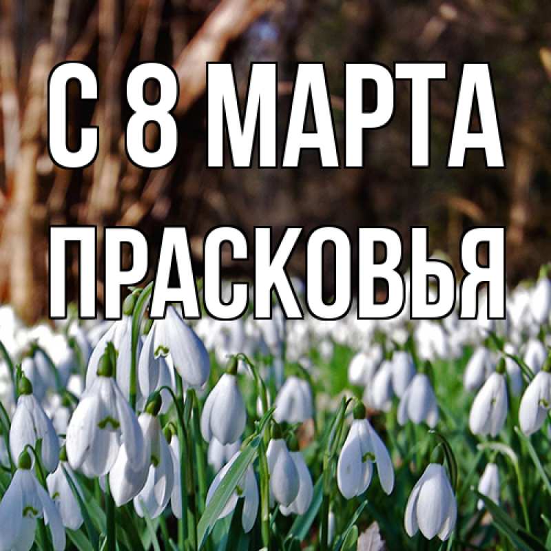Картинка C 8 МАРТА, Прасковья