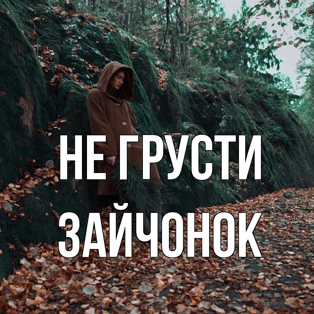 Открытка на каждый день с именем, Зайчонок Не грусти осенний лес Прикольная открытка с пожеланием онлайн скачать бесплатно 