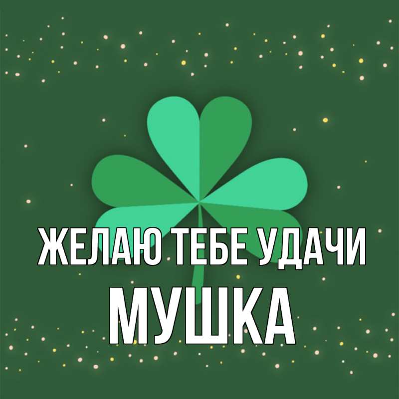 Картинка Желаю тебе удачи, мушка