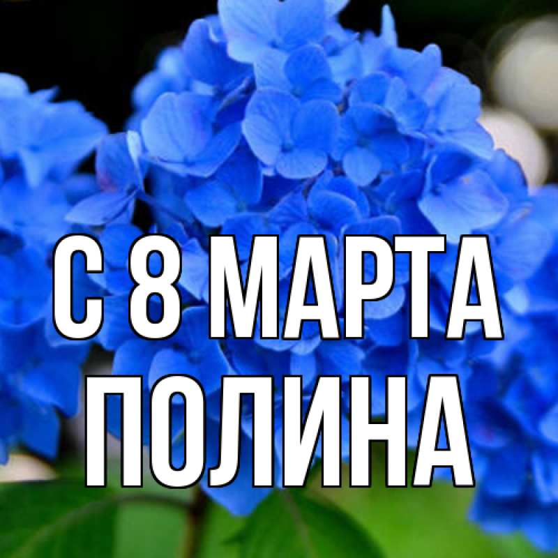 Картинка C 8 МАРТА, полина