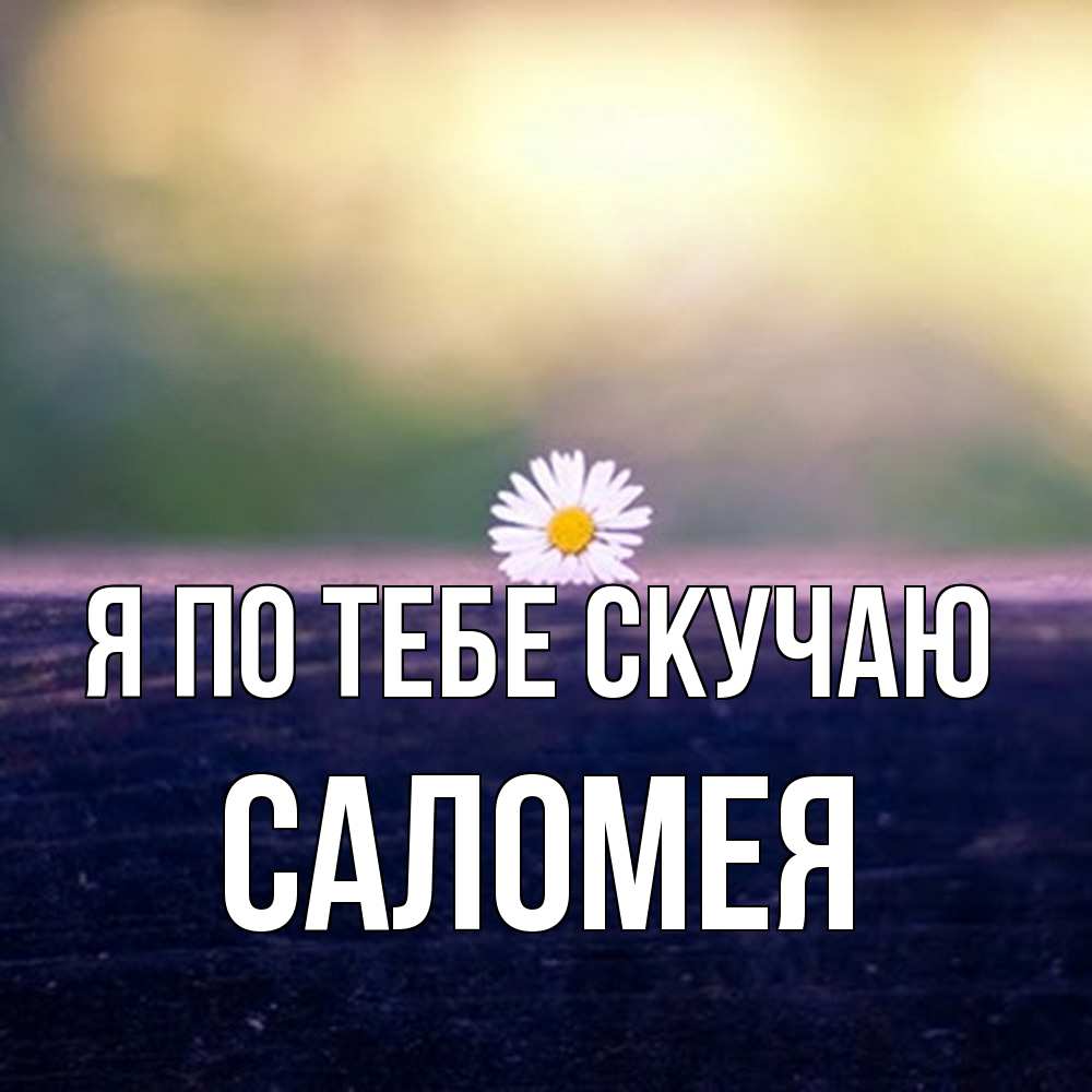 Открытка на каждый день с именем, Саломея Я по тебе скучаю приходи в гости Прикольная открытка с пожеланием онлайн скачать бесплатно 