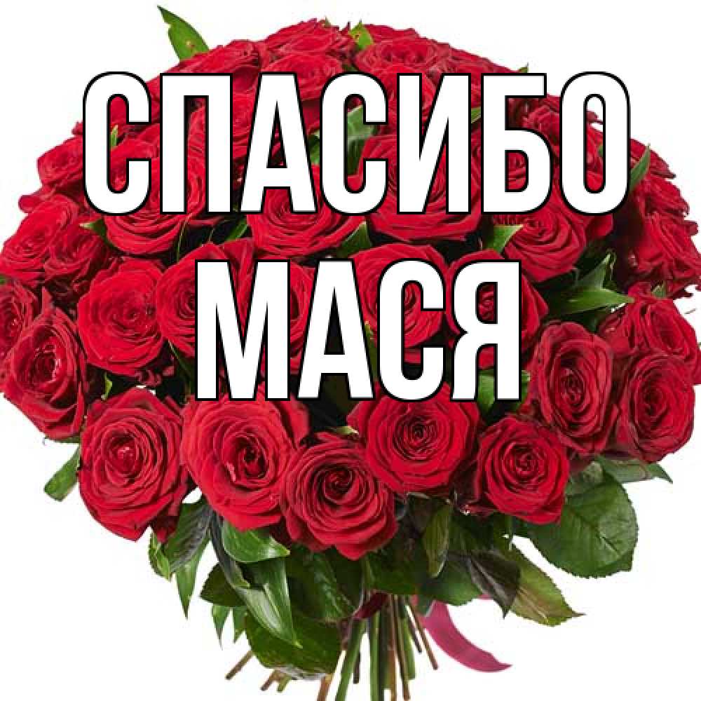 Открытка на каждый день с именем, Мася Спасибо букет красных роз Прикольная открытка с пожеланием онлайн скачать бесплатно 