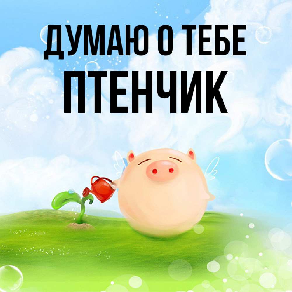 Открытка на каждый день с именем, Птенчик Думаю о тебе позитивная свинюшка Прикольная открытка с пожеланием онлайн скачать бесплатно 