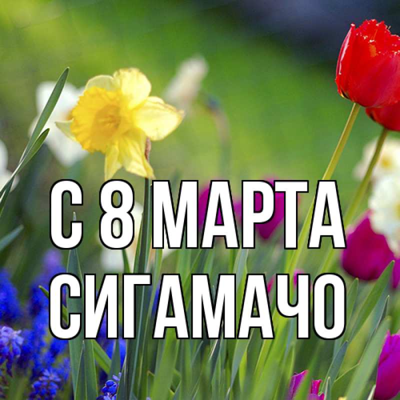 Картинка C 8 МАРТА, Сигамачо