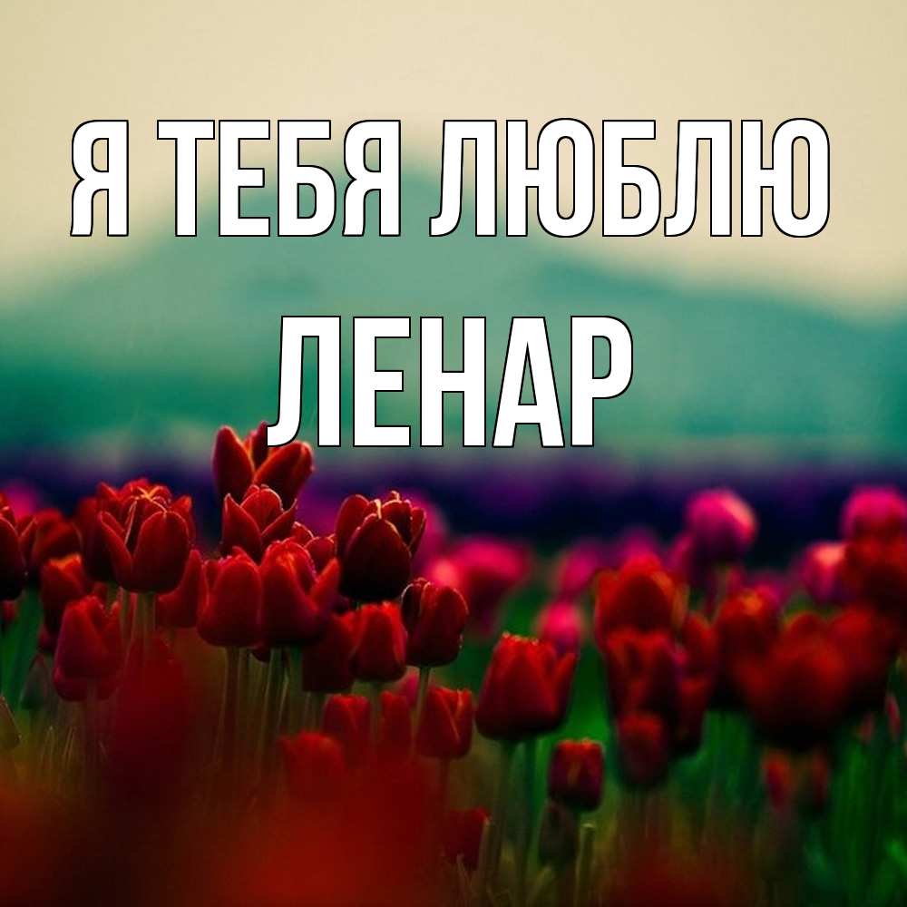 Открытка на каждый день с именем, Ленар Я тебя люблю тюльпаны 4 Прикольная открытка с пожеланием онлайн скачать бесплатно 