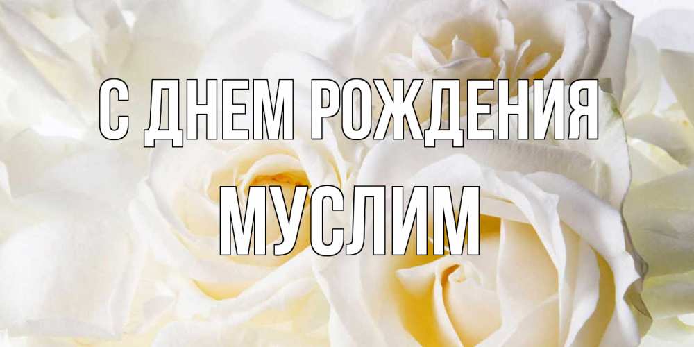 Открытка на каждый день с именем, Муслим С днем рождения открыточки на день рождения любимым Прикольная открытка с пожеланием онлайн скачать бесплатно 
