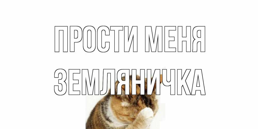 Открытка на каждый день с именем, Земляничка Прости меня кот Прикольная открытка с пожеланием онлайн скачать бесплатно 
