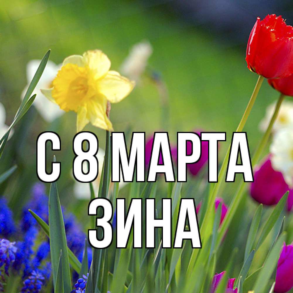 Открытка на каждый день с именем, Зина C 8 МАРТА международный женский день 3 Прикольная открытка с пожеланием онлайн скачать бесплатно 
