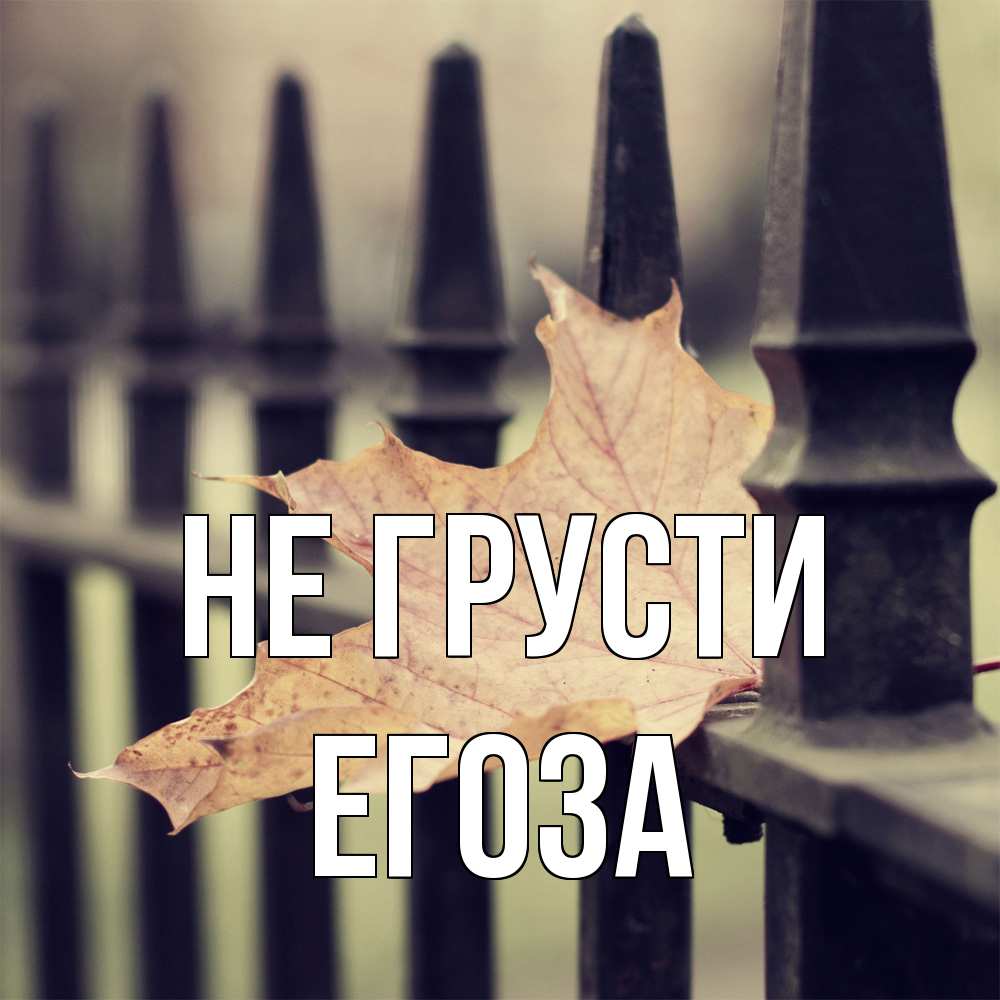 Открытка на каждый день с именем, егоза Не грусти лист клена Прикольная открытка с пожеланием онлайн скачать бесплатно 