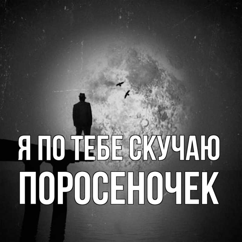 Картинка Я по тебе скучаю, поросеночек