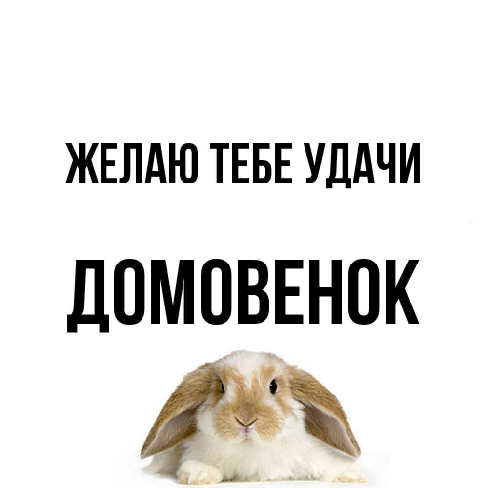 Открытка на каждый день с именем, Домовенок Желаю тебе удачи открытки с произвольным текстом который можно вставить в открытку и создать ее самостоятельно бесплатно онлайн Прикольная открытка с пожеланием онлайн скачать бесплатно 