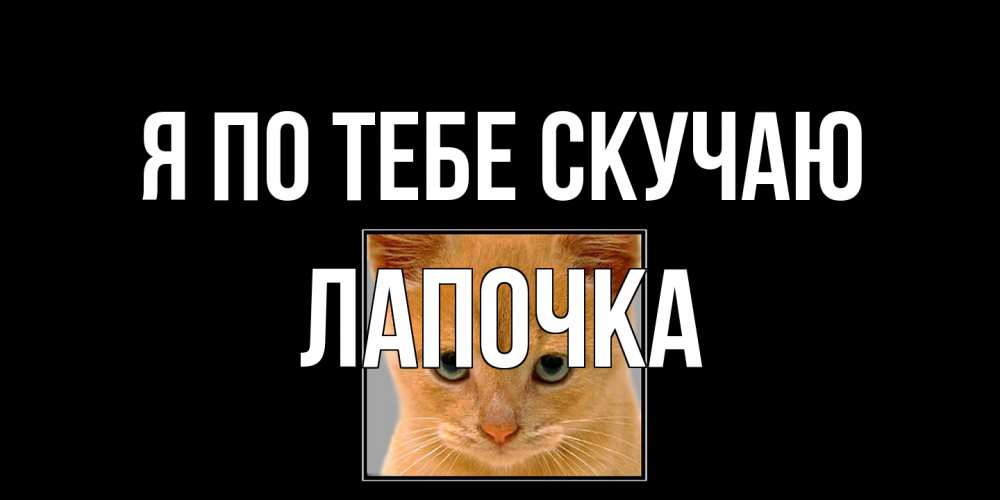 Открытка на каждый день с именем, лапочка Я по тебе скучаю открытки рыжий котенок скучает по тебе Прикольная открытка с пожеланием онлайн скачать бесплатно 