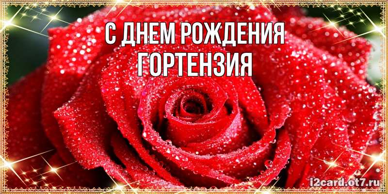 Картинка С днем рождения, Гортензия