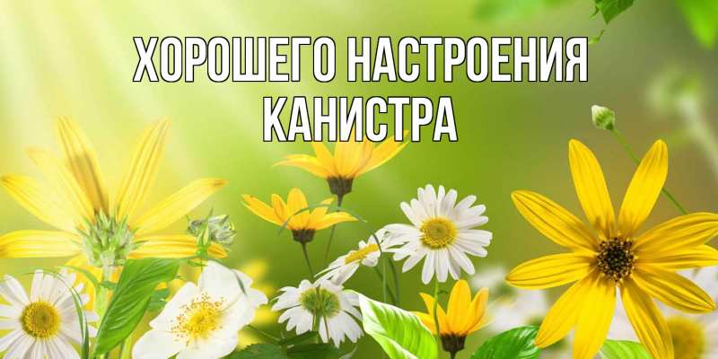 Картинка Хорошего настроения, Канистра