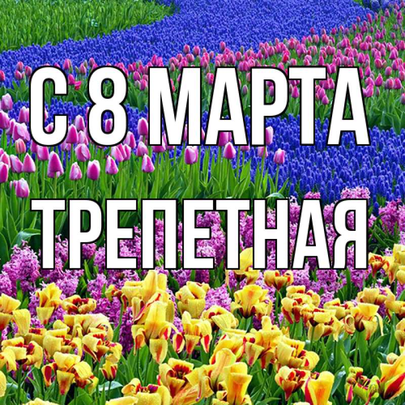 Картинка C 8 МАРТА, Тpепетная