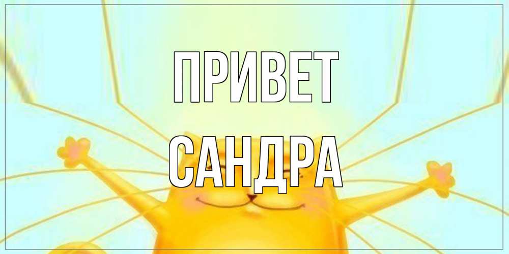 Открытка на каждый день с именем, Сандра Привет кот Прикольная открытка с пожеланием онлайн скачать бесплатно 