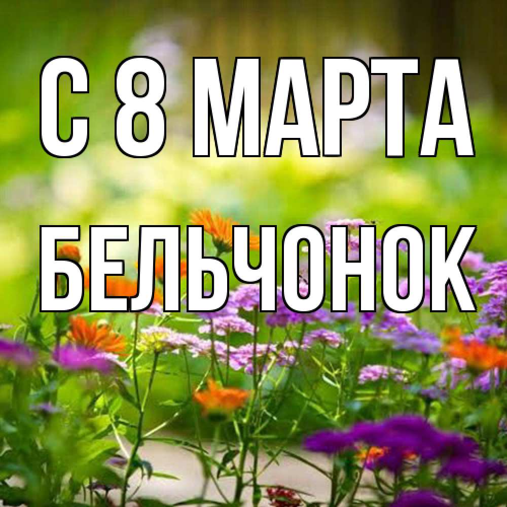 Открытка на каждый день с именем, бельчонок C 8 МАРТА цветы Прикольная открытка с пожеланием онлайн скачать бесплатно 