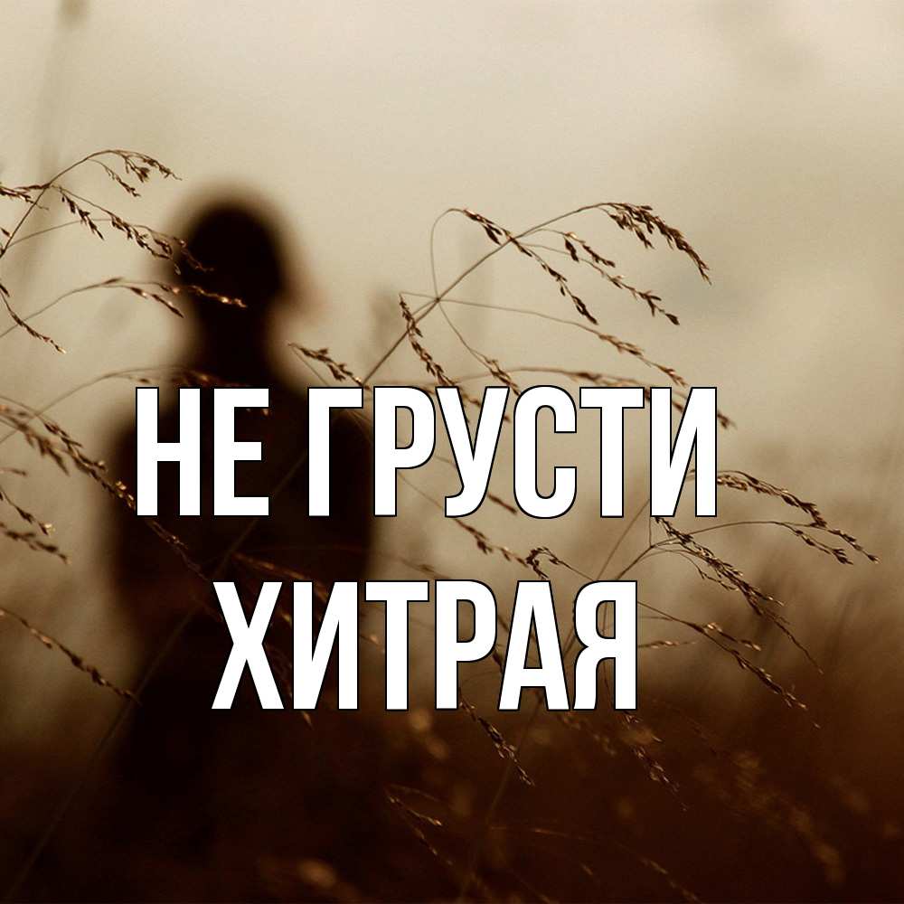 Открытка на каждый день с именем, хитрая Не грусти грусть Прикольная открытка с пожеланием онлайн скачать бесплатно 