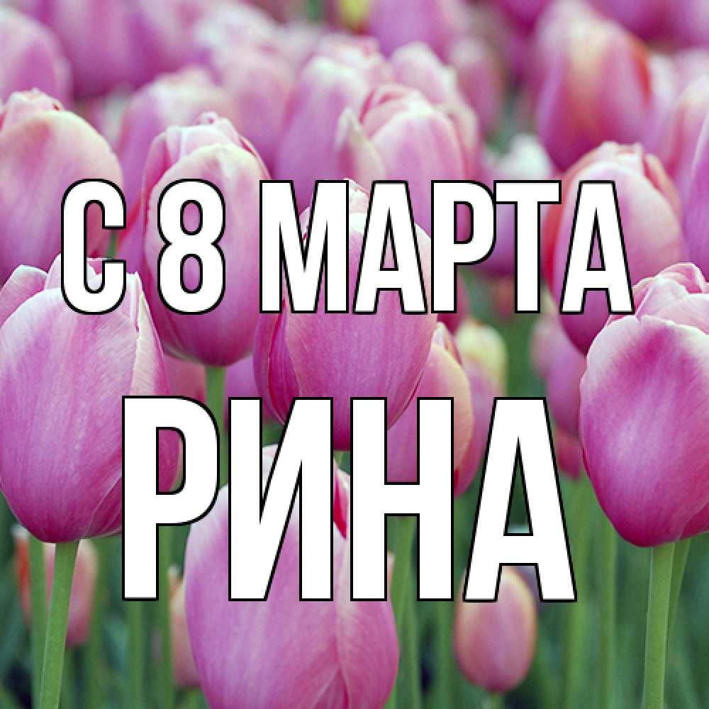 Открытка на каждый день с именем, Рина C 8 МАРТА на международный женский день 3 Прикольная открытка с пожеланием онлайн скачать бесплатно 