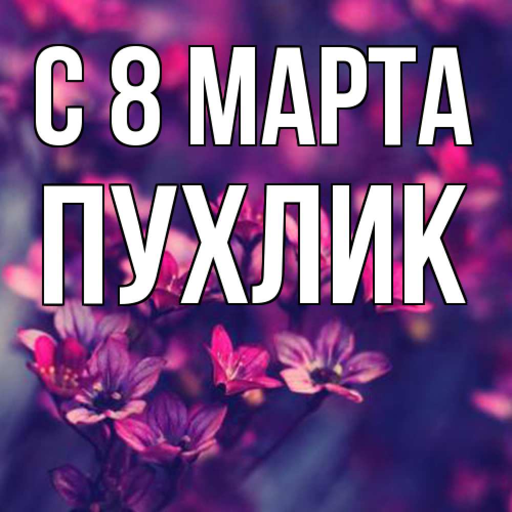 Открытка на каждый день с именем, пухлик C 8 МАРТА небольшие цветы 1 Прикольная открытка с пожеланием онлайн скачать бесплатно 