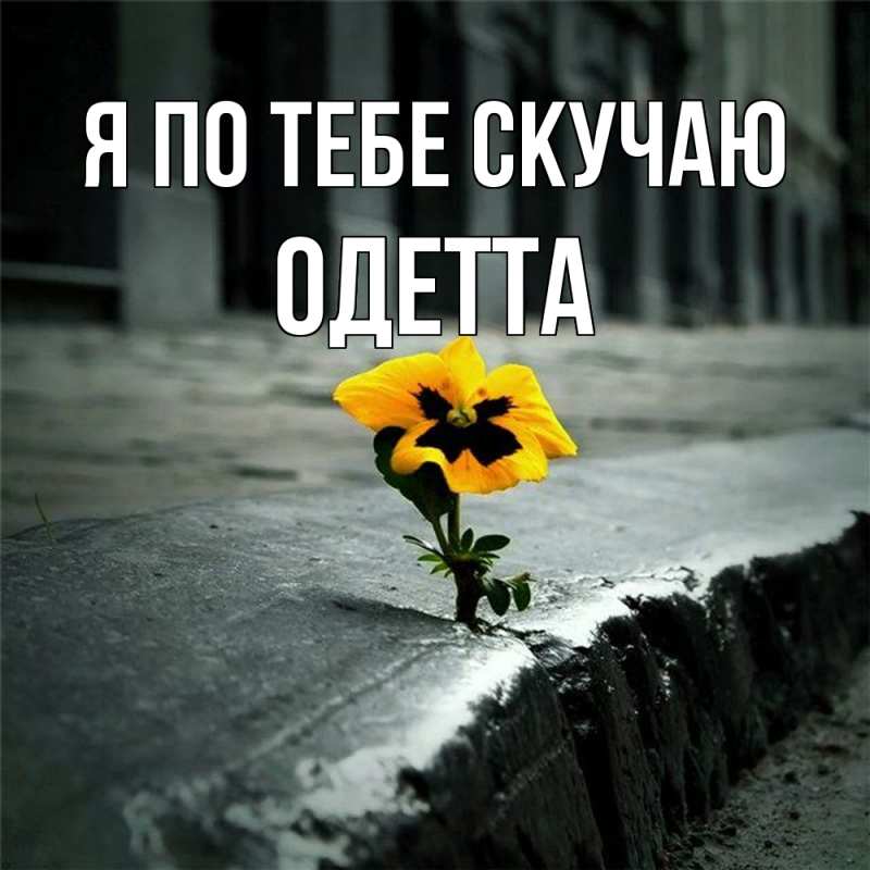 Картинка Я по тебе скучаю, Одетта