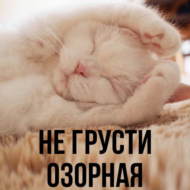 Картинка Не грусти, Озоpная