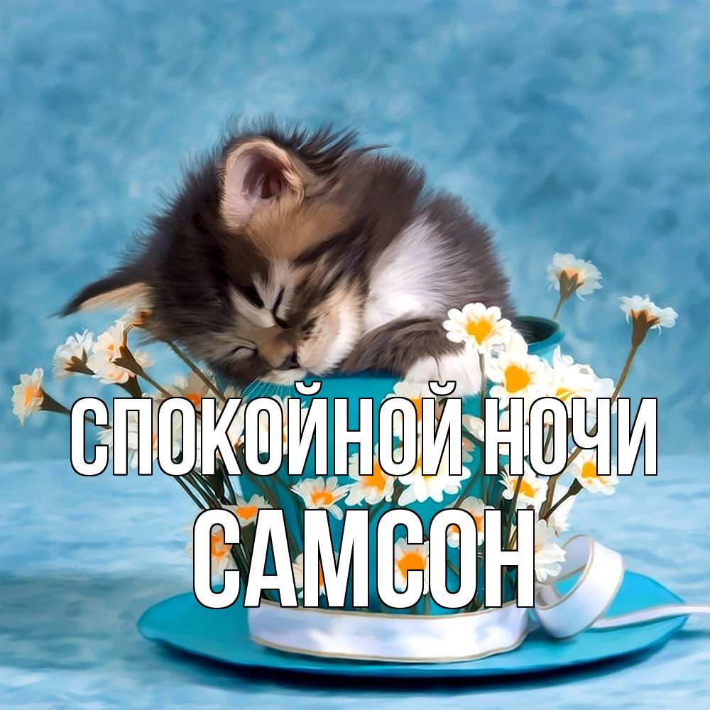 Открытка на каждый день с именем, Самсон Спокойной ночи котенок спит в кружке с блюдцем Прикольная открытка с пожеланием онлайн скачать бесплатно 