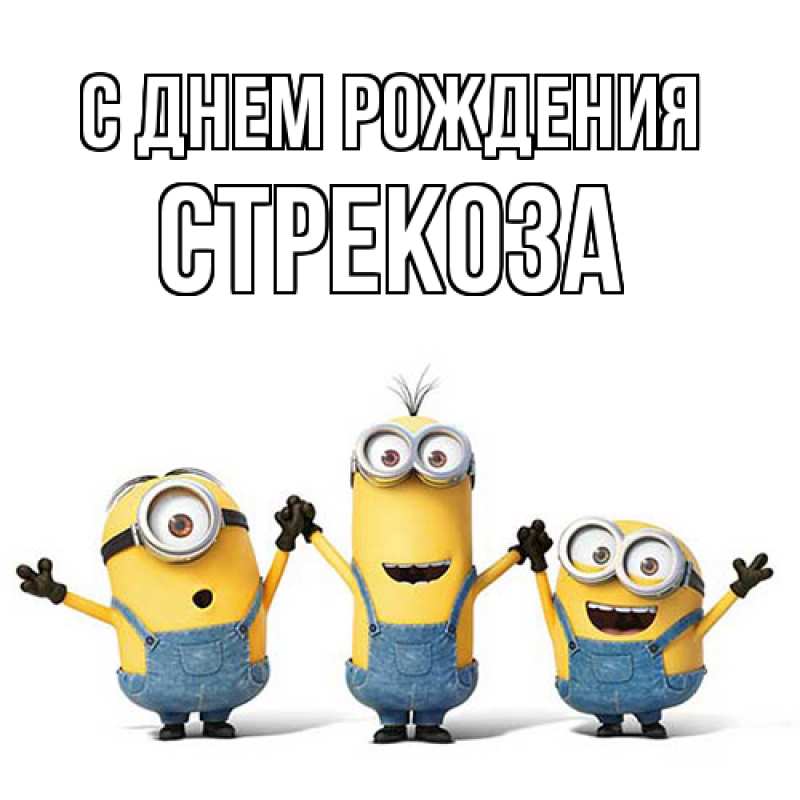 Картинка С днем рождения, Стрекоза