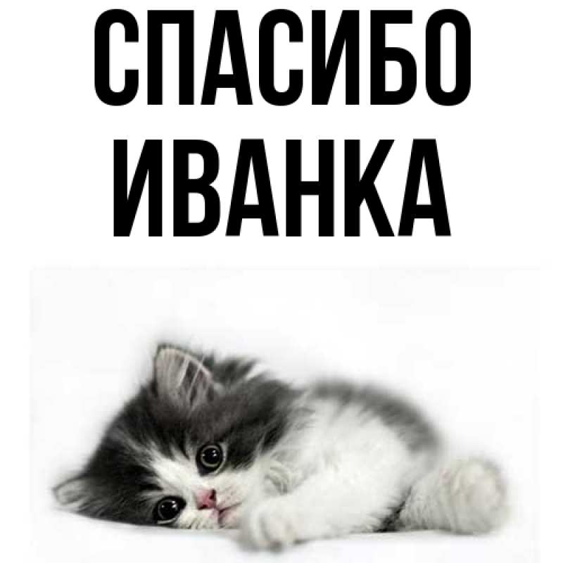 Картинка Спасибо, Иванка