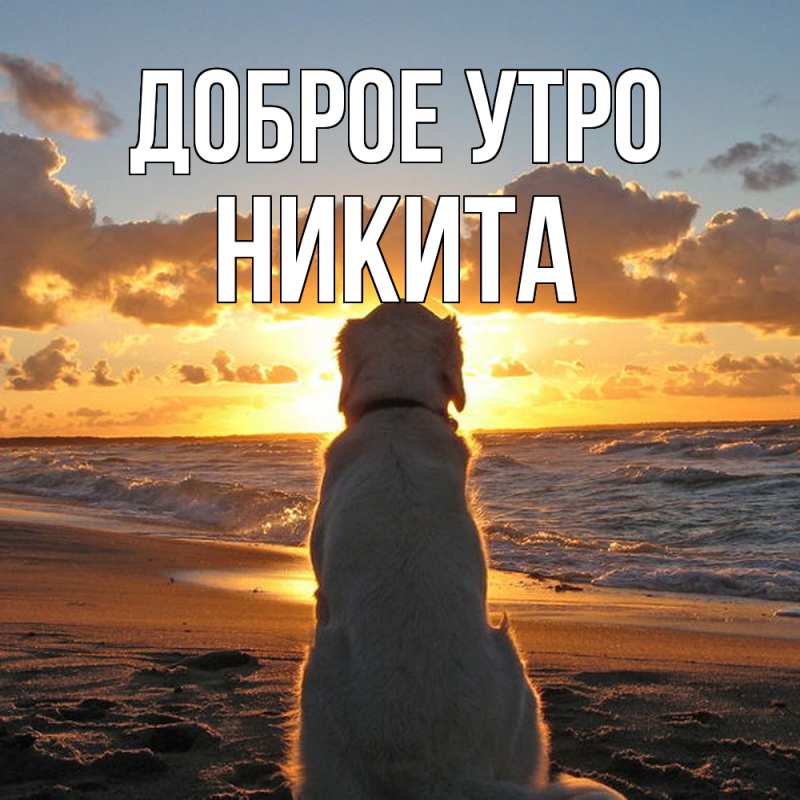 Картинка Доброе утро, Никита
