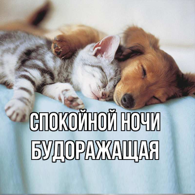 Картинка Спокойной ночи, будоражащая