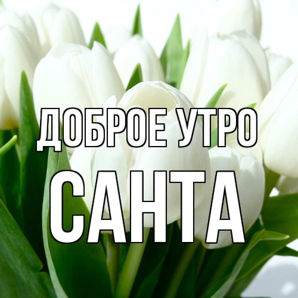 Открытка на каждый день с именем, Санта Доброе утро открытки на каждый день по именам Прикольная открытка с пожеланием онлайн скачать бесплатно 