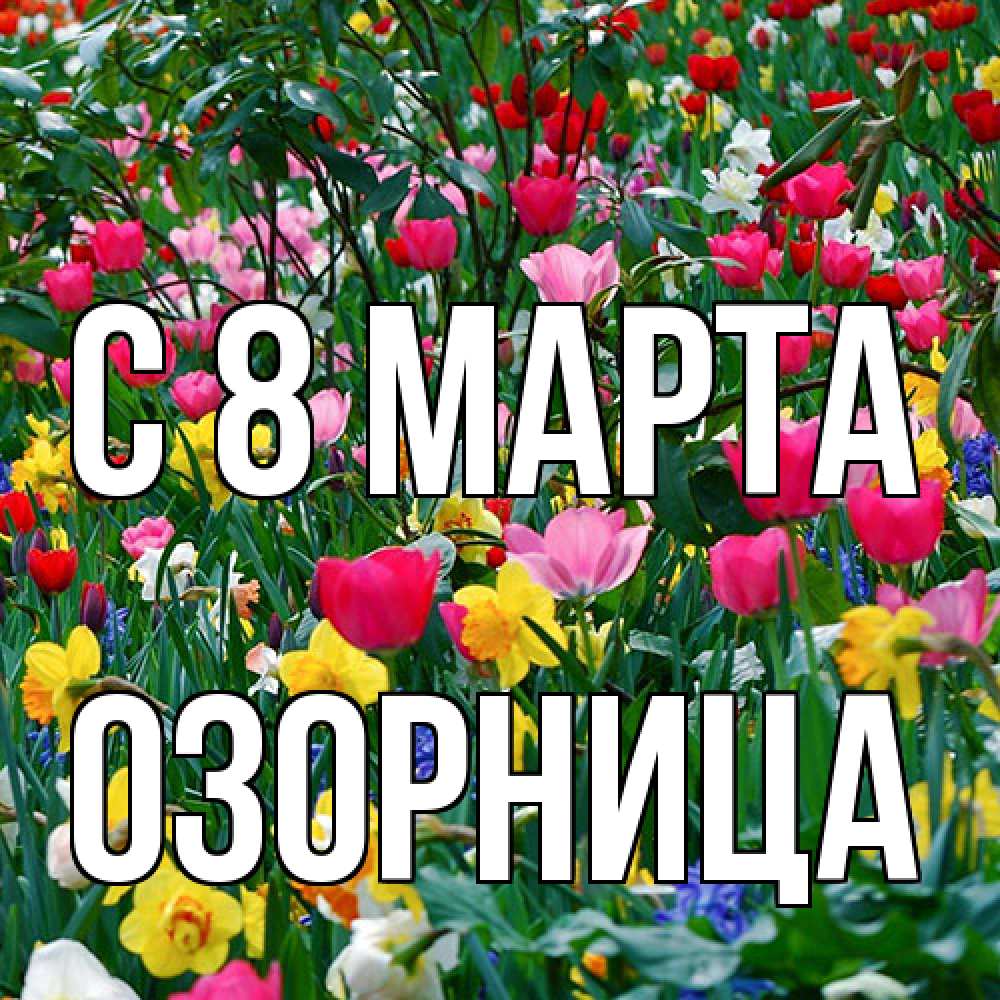 Открытка на каждый день с именем, Озорница C 8 МАРТА с международным женским днем поздравления для женщины Прикольная открытка с пожеланием онлайн скачать бесплатно 